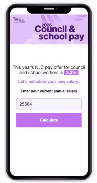 Council And School Pay Calculator